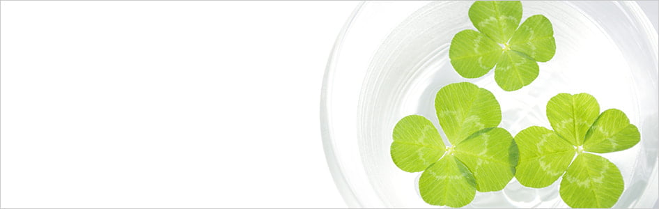 お気軽にご相談ください